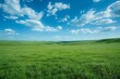 b'Grassland scenery under the blue sky and white clouds'