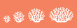 Crop stages of coral. Isolated coral on white background