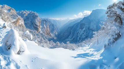 Wall Mural - b'A winter wonderland of snow-capped mountains and trees'