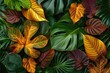 Growing Leaves. Diverse Foliage Background showcasing Vibrant Plant Leaves in Nature Ecosystem