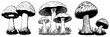Mushrooms . Black and white line art. Logo design for use in graphics. T-shirt print, tattoo design. Generated by Ai