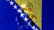 Gleaming Golden Skull Enshrined in Bosnia and Herzegovina Flag