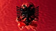 Opaque Skull Shrouded by the Albanian Double-Headed Eagle