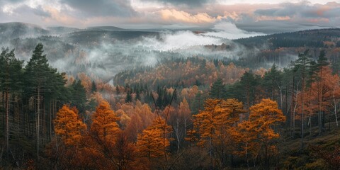 Wall Mural - Breathtaking view of the forest in autumn in the mountains