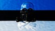 Sleek Obsidian Skull Reflection on Estonian Flag Waves