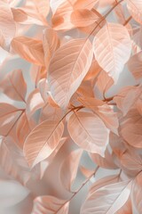 Aufkleber - Detailed view of a cluster of leaves, ideal for nature-themed designs