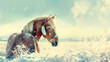 A beautiful palomino horse with a white mane and tail stands in a snowy field. The sun is shining brightly, and the snow is sparkling. The horse is wearing a turquoise halter with a white feather.
