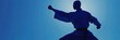 Silhouetted Kung Fu Master in Graceful Fighting Pose Against Periwinkle Background