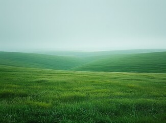 Wall Mural - b'Green rolling hills stretch into the distance under a gray sky'