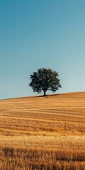 b'lonely tree in a field of wheat'