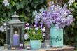 romantisches Garten-Arrangement mit lila Hornveilchen, Flieder-Strauß und vintage Laterne