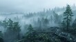 foggy hillside, early morning, mysterious vibe , high resolution