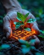 Growing plants in the palm of your hand with a glowing grid in the soil