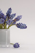 Blue violet flower in vase on beige light background. Minimal empty still life.