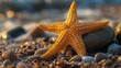 Starfish on Beach With Foamy Water