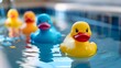 A row of adorable rubber duckies floating in a bathtub, their bright colors reflecting in the water