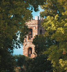 Wall Mural - tower of lucca, italy