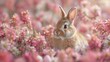 Rabbit Sitting in Field of Pink Flowers
