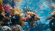 Lionfish a venomous fish with red and white strip 
