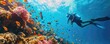 diver surrounded by tropical fish in a colorful and healthy underwater coral ecosystem
