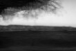 Art black and white photograph captures landscape in motion, featuring blurred elements that evoke mystery and emotion. Perfect for conveying concepts of time, change and ephemeral nature of life