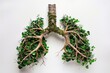 A pair of lungs made out of branches and leaves on a white background.