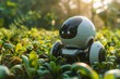 A small robot stands in a field of green plants. The sun shines through the plants and creates a warm atmosphere.