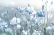 delicate blue flax flowers blooming in soft light nature photography