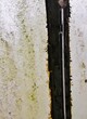 © Clarini - Alte Dachluke im Haus mit abblätternder Farbe