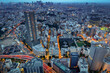 Tokyo Night Skyline - Ikebukuro