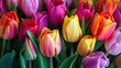 Celebrate Easter and Mother s Day with a vibrant spring greetings card featuring beautiful tulips