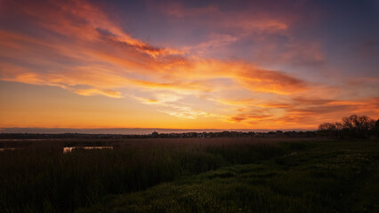 Beautiful sunset over the field