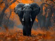 Striking Elephant Portrait