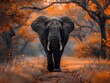 Serene Elephant in Natural Habitat