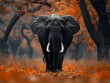 Elephant in the Serene Wilderness