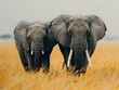Stunning Wildlife Photography: Elephants in the Wild