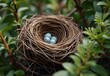 Close-up of a small nest hidden in the branches of a bush, generative AI