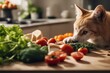 veggies dog choosing cat food together choice chicken pet animal nourishment table ravenous background white cute diet bad eat funny humor serve concept fruit rice oatmeal carrot blueberry bacon'