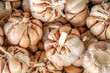 Garlic bulbs at market in Thailand