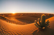 Scenery. Desert. Beautiful landscape with dunes, cacti. Sunset in the desert. Background, wallpaper for computer, tablet.