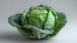 Cabbage on a white background ai generated 