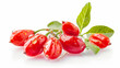 Fresh asian goji berries  with leaves isolated on a white background.