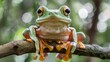 A frog perched on a tree branch, its golden eyes and wide smile capturing the whimsical personality of these beloved creatures.