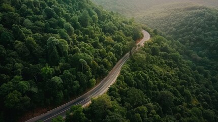 Poster - Aerial view of a mountain road winding its way through dense forests, a ribbon of asphalt cutting through the green landscape.