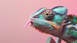 Chameleon shooting out his tongue, pastel pink background