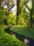Fototapeta Fototapety z widokami - potok w parku jako piękny pejzaż z wodą i drzewami