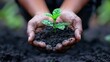 Hands holding seedling, Save the green planet concept, environmental conservation.