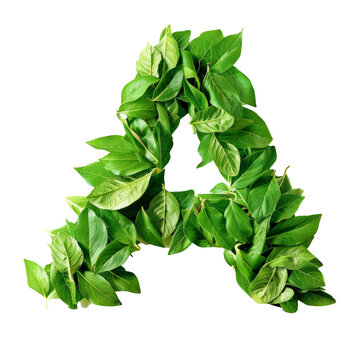 Word shape from leave A-Z