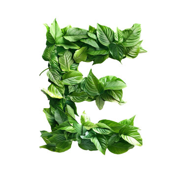 Word shape from leave A-Z