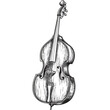 Hand drawn violin. Vector illustration. Isolated on white background.